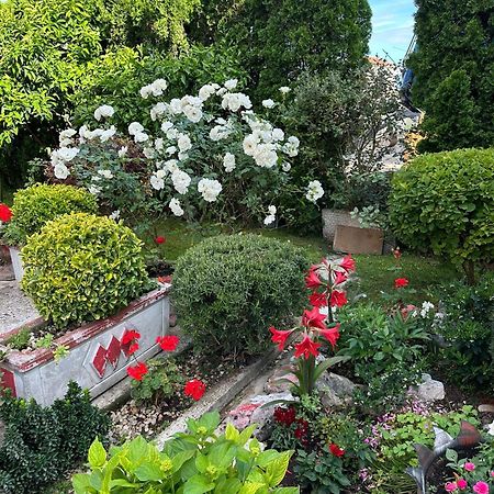 Appartamento Green Oasis Cattaro Esterno foto