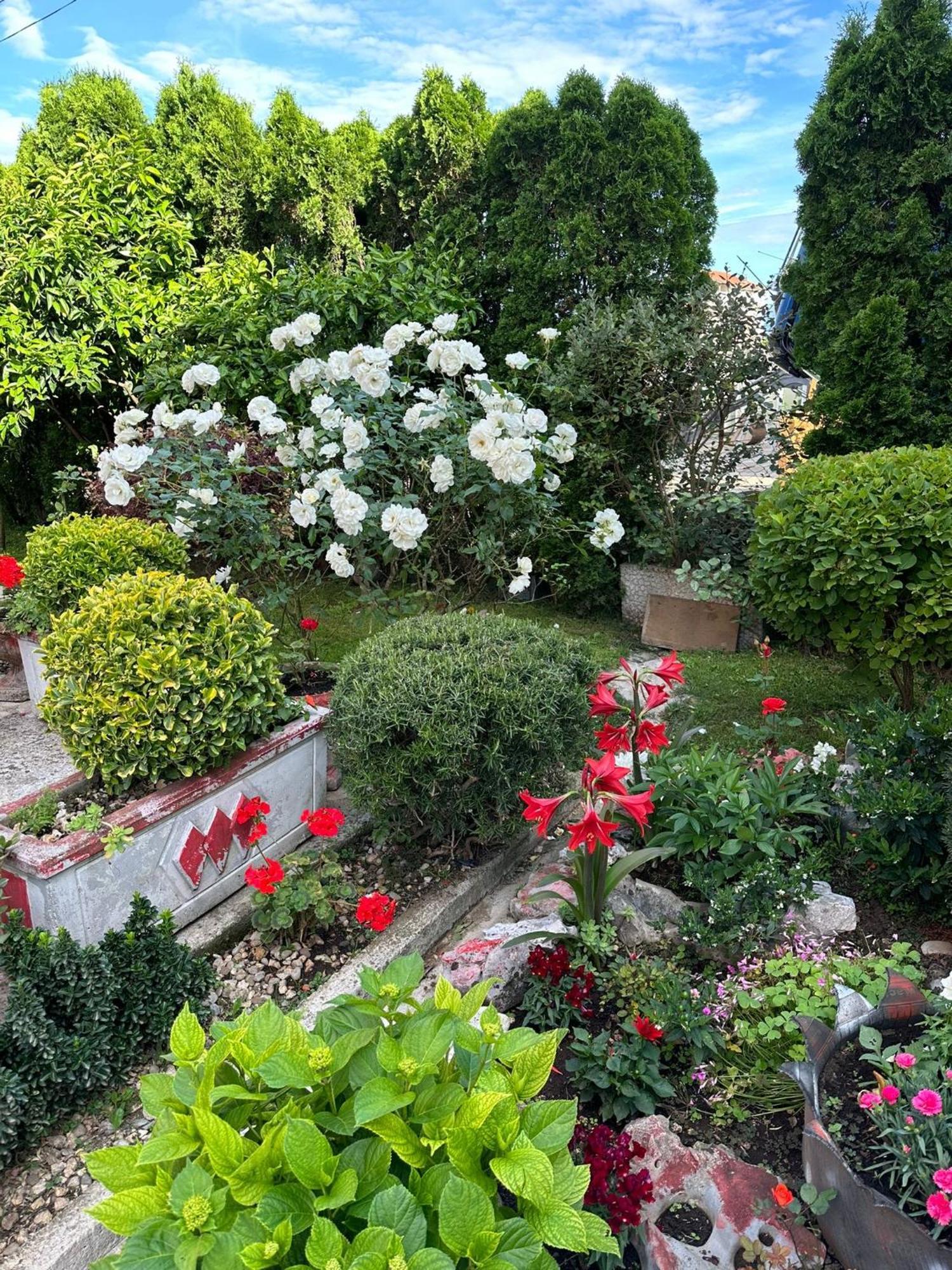 Appartamento Green Oasis Cattaro Esterno foto