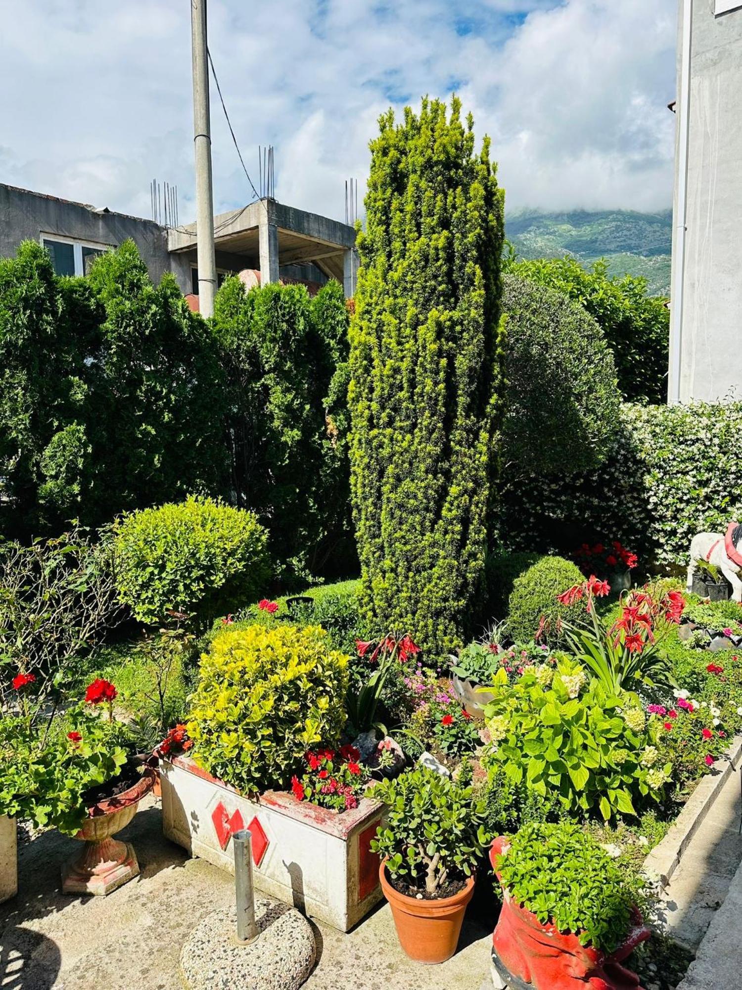 Appartamento Green Oasis Cattaro Esterno foto